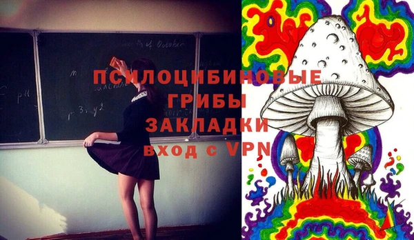дурь Елизово