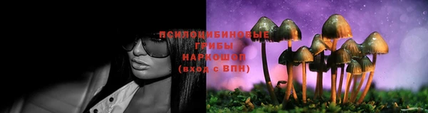 спайс Елабуга