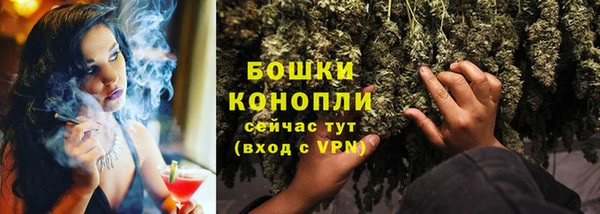дурь Елизово