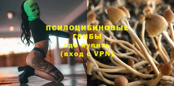 ALPHA-PVP Ельня