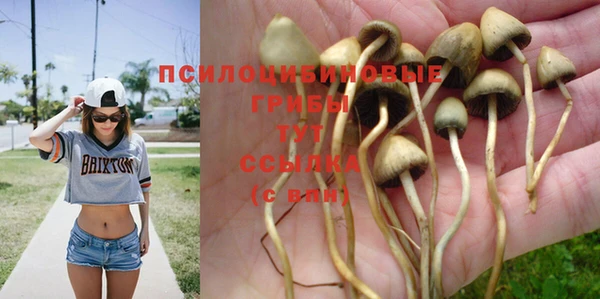 спайс Елабуга