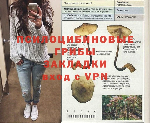 ALPHA-PVP Ельня
