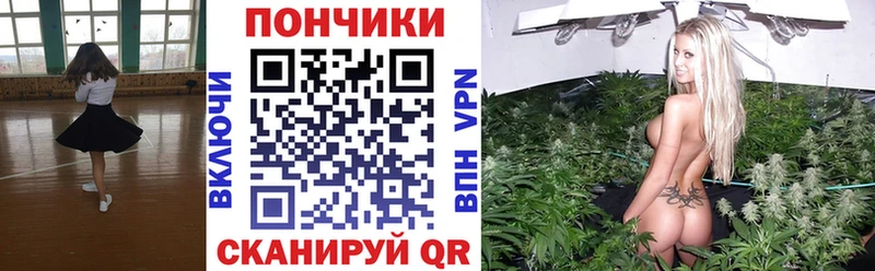 Купить где  Ирбит  Бошки марихуана Amnesia 